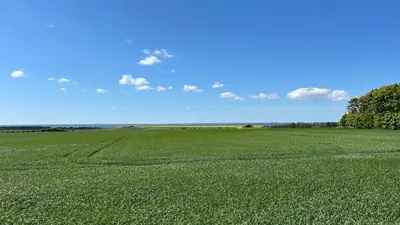 a field of green grass with a blue sky at Bright Nordic Loft Apartment in Spottrup