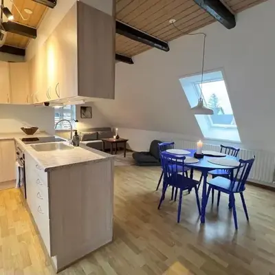 Bright Nordic Loft Apartment