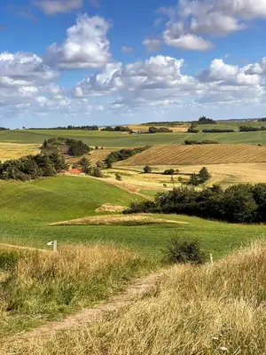 a dirt road in the middle of a field at Modern Holiday Home By Limfjord in Øster Assels