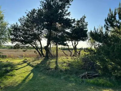 a group of trees in a grass field at Summer House With Fields And Fjord Views in Thyholm