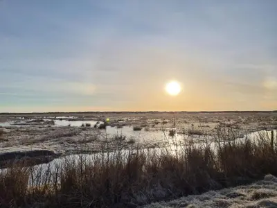 a sunrise over a marsh with the sun in the sky at 4 star holiday home in Brovst in Brovst
