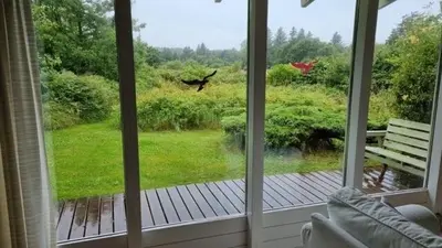 a view of a porch with a bird flying through the window at Hygge in the North Sea Cabin in Fjerritslev