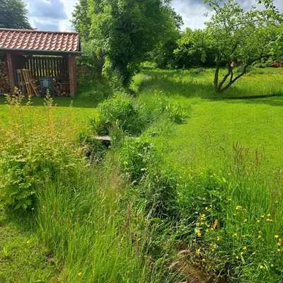 a field of tall grass next to a cabin at Stalden ved Hjarbækgård in Løgstrup