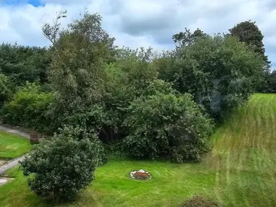 a tree with a rock in the grass at Cozy Danish Room for Solo Stays in Lemvig