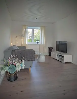 a living room with a couch and a tv at Guldmark in Lemvig