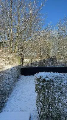 a snow covered path with a bush and trees at Sjarmerende og hyggelig lite hjem in Holstebro