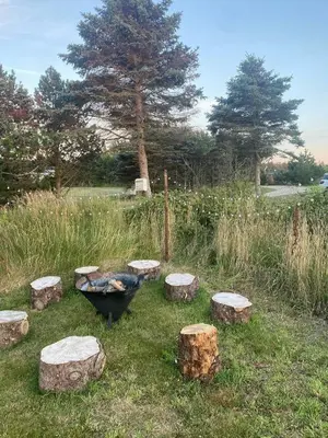 a group of logs and a fire pit in a field at Beautiful Home Near Løkken On Secluded Plot in Løkken