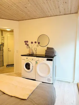 a washing machine with a mirror on top of it at Cozy Pearl in Viborg Centre in Viborg