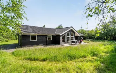 a small black house in a field of grass at 4 Bedroom Stunning Home In Fjerritslev in Fjerritslev