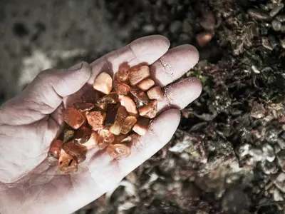 a person holding a handful of nuts in their hand at 4 star holiday home in Thyborøn in Thyborøn
