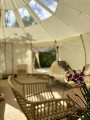 a room with chairs and a vase with a flower at Agger Glamping - Lyngheden in Vestervig
