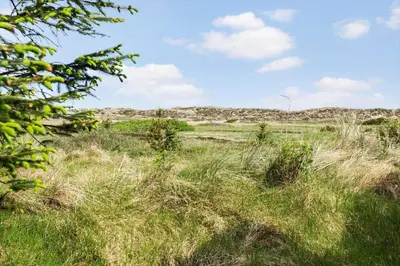 a field full of tall grass and weeds at 399-Thisted-Sotungevej-21 in Nørre Vorupør