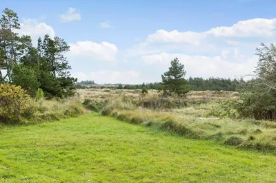 a grassy field with trees on the horizon at 872-Bedsted-Thy-Lyngbyvej-25 in Bedsted Thy