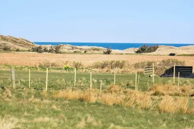 a fence in the middle of a field with a horse at 1017-Thisted-Hvidbakken-17 in Torsted