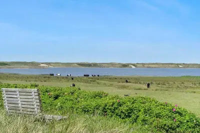 a bench in a field next to a body of water at 193-Vestervig-Vesterhavsvej-36 in Vestervig