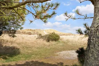 a dirt road in a field with a tree at 337-Thisted-Hummervej-11 in Thisted