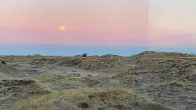 an image of a desert with the moon in the sky at 302-Snedsted-Klitfogedvej-7 in Snedsted