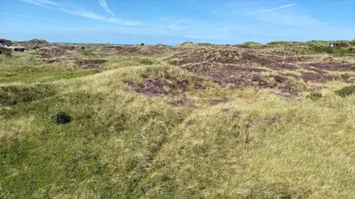 an overhead view of a grassy hill with houses on it at 302-Snedsted-Klitfogedvej-7 in Snedsted