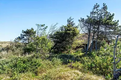 a house on the side of a hill with trees at 340-Thisted-Delfinvej-25 in Thisted