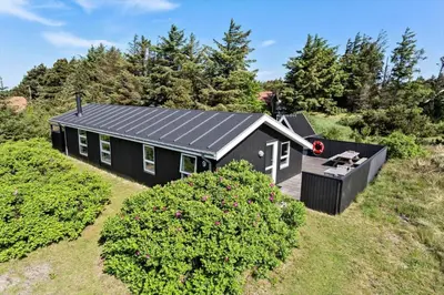 a black house with a black roof at 547-Thisted-Laksevej-9 in Thisted