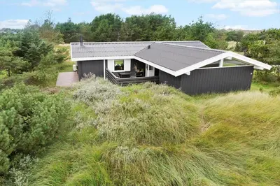 a small black house in a field of tall grass at 837-Thisted-Flyndervej-17 in Thisted