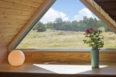 a vase with a flower on a window sill at 641-Snedsted-Istrupvej-21-C in Snedsted