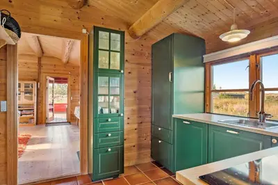 a kitchen with green cabinets and a wooden wall at 651-Snedsted-Somaerkevej-50 in Snedsted