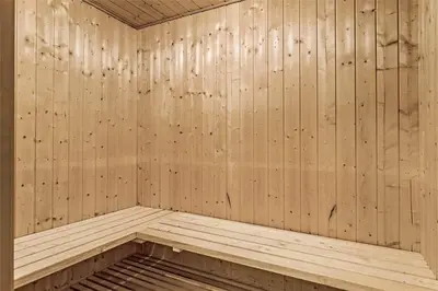 a wooden sauna with a wood paneled wall at 1030-Thisted-Lyngstien-15-A in Torsted