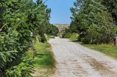 a dirt road with trees on both sides at 142-Thisted-Pighvarvej-4 in Thisted