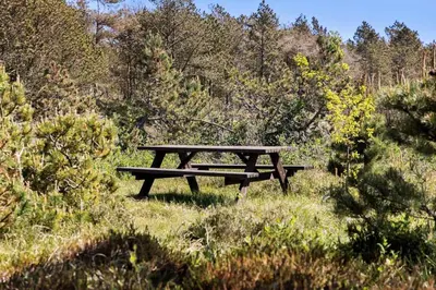 a picnic table sitting in the grass in a field at 815-Thisted-Blamunkevej-45 in Thisted