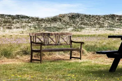 a park bench sitting in a field of grass at 760-Thisted-Pighvarvej-30 in Thisted
