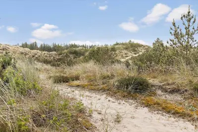 a dirt path on a hill with grass and trees at 619-Thisted-Blabaervej-32 in Thisted