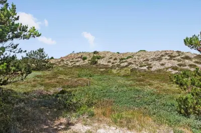 a grassy hill with trees on top of it at 927-Thisted-Spanggardsvej-77 in Torsted