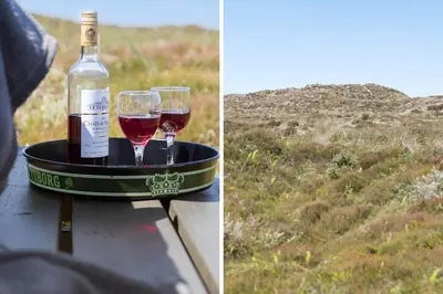 a bottle of wine and two glasses on a tray at 796-Snedsted-Somaerkevej-66 in Snedsted