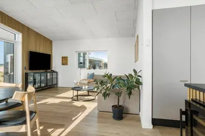 a living room with a potted plant and a tv at 109-Thisted-Lyngbakken-9 in Thisted