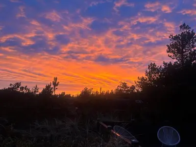 a sunset with trees and clouds in the sky at 162-Thisted-Molgaardsvej-62 in Thisted