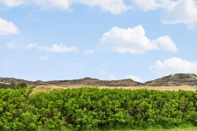 a bush in the foreground with mountains in the background at 382-Thisted-Kristinesvej-2 in Thisted