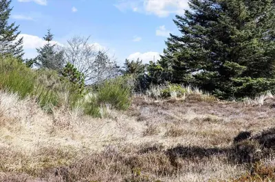 a grassy hill with trees on the side of it at 246-Thisted-Pighvarvej-16 in Thisted