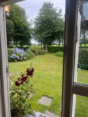 a view of a yard from a window of a garden at Cozy property in the countryside in beautiful nature in Vinderup