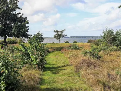 a path through a field with trees and a body of water at 8 person holiday home in Skals-By Traum in Skals