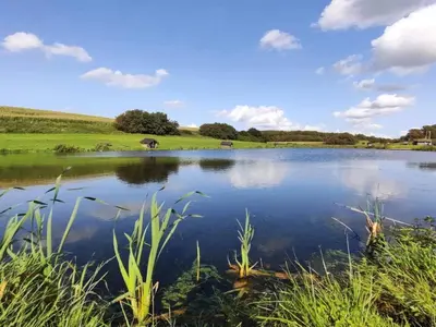 a view of a lake with a horse in the distance at 8 person holiday home in Skals-By Traum in Skals
