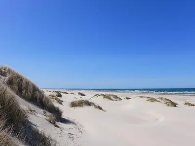 a beach with sand dunes and the ocean at 8 person holiday home in Saltum-By Traum in Saltum
