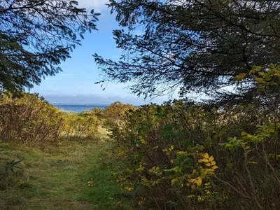 a path through trees with the ocean in the background at 8 person holiday home in Thyholm-By Traum in Thyholm