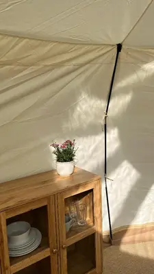 a plant on a table in a tent at Agger Glamping - Havtornen in Vestervig