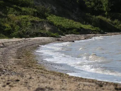 a sandy beach with a body of water at 5 person holiday home in Roslev-By Traum in Roslev