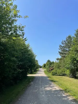 a dirt road with trees on both sides at Holiday Home By Limfjord With Historic Charm in Farsø