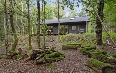 a cabin in the middle of a forest at Amazing Home In Aars With Wifi in Års