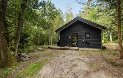 a black cabin in the middle of a forest at Amazing Home In Aars With Wifi in Års