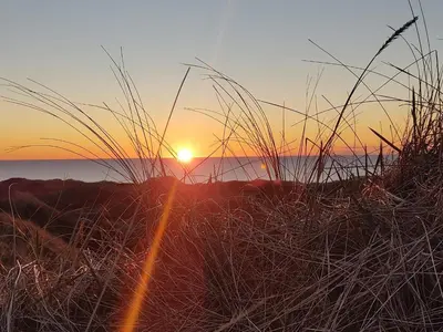 a sunset on the beach with tall grass at 6 person holiday home in Løkken-By Traum in Løkken