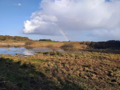 a rainbow in the middle of a field with a river at 4 person holiday home in Bøvlingbjerg in Bøvlingbjerg